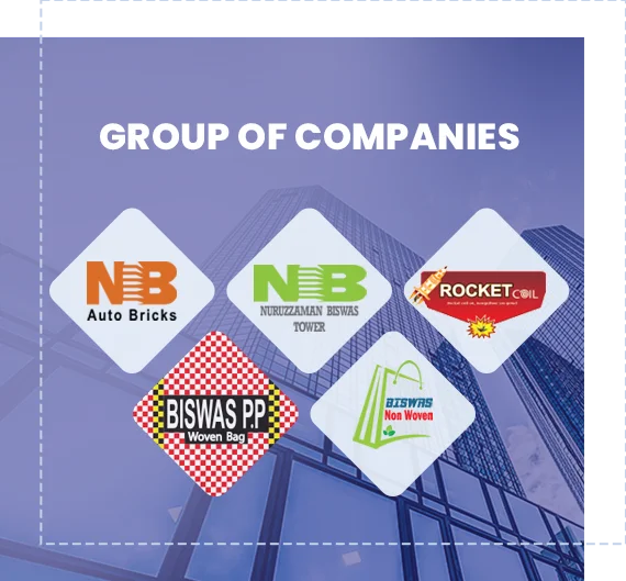 About N. Biswas Group
