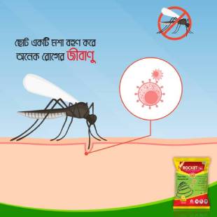 Mosquito Spreads Diseases