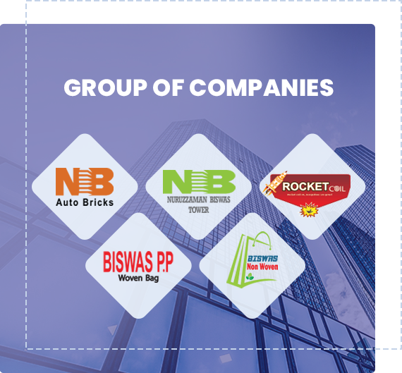 About N. Biswas Group