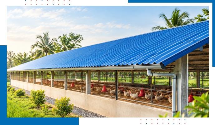 Poultry farm roofing sheet in Bangladesh